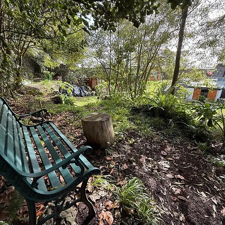 Lotus House - Heated Pool & Jacuzzi Near The *