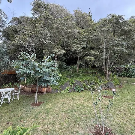 Lotus House - Heated Pool & Jacuzzi Near The בית נופש *